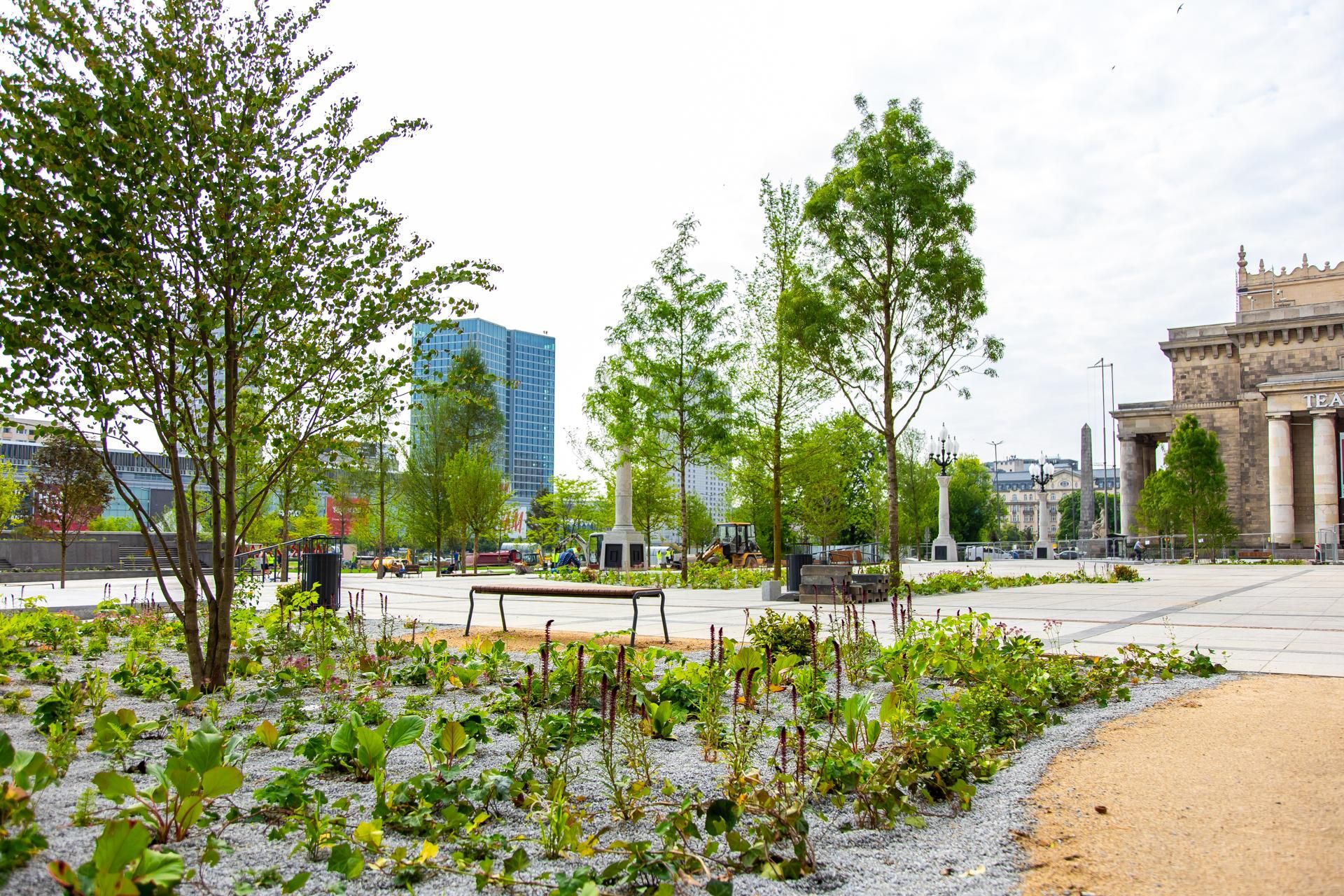 Plac Centralny w Warszawie