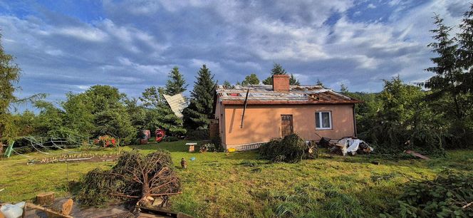 Dolnośląskie. Burze wyrządziły wiele szkód w regionie. Tak wyglądają okolice Jawora [ZDJĘCIA].