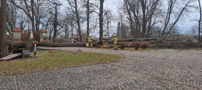 Potężne wichury przechodzą przez Małopolskę. Strażacy interweniowali ponad 120 razy