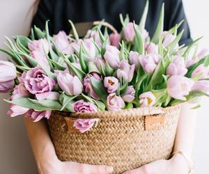 Bukiet z tulipanów
