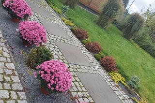 Tak mieszka Borys Budka z żoną i córką. Ma piękny ogród