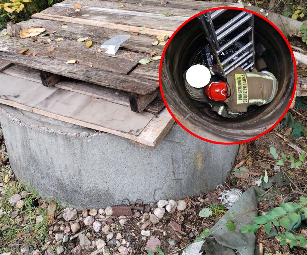 95-latka wpadła do studni. Niewiarygodne, co powiedziała strażakom!