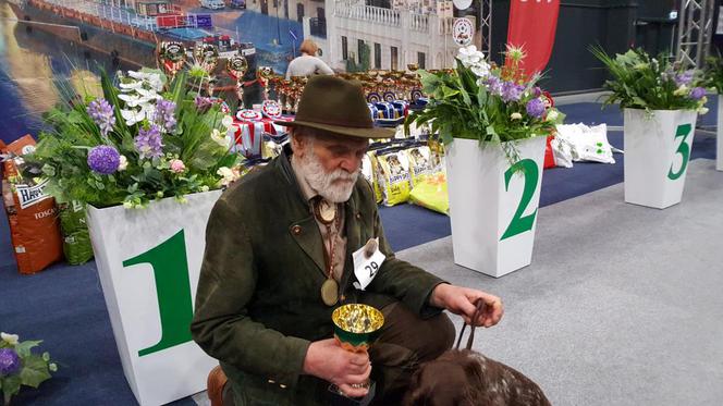 Tysiące psów i odwiedzających. II Międzynarodowa wystawa Psów Rasowych odbyła się w Bydgoszczy