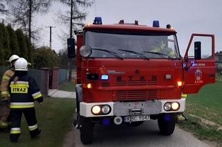 Pożary traw w powiecie bocheńskim. Strażacy mają pełne ręce roboty
