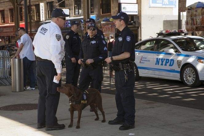 NYPD bez prawa do pogaduszek