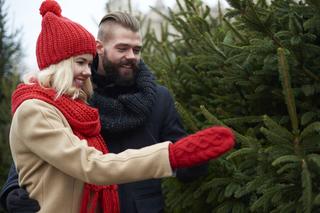 Najpopularniejsze w Polsce choinki na Boże Narodzenie. Jaką choinkę wybrać do domu?