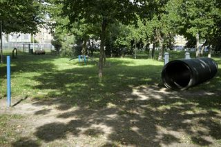 Wybieg dla psów przy Ćwiczni w Lesznie