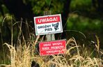 Dobry, serdeczny. Puławy pogrążone w żałobie. W poniedziałek pogrzeb pana Marcina, którego zagryzły psy