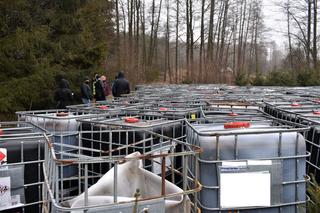 Setki pojemników ze żrącą substancją w środku lasu pod Warszawą! Przerażająca interwencja służb [ZDJĘCIA]