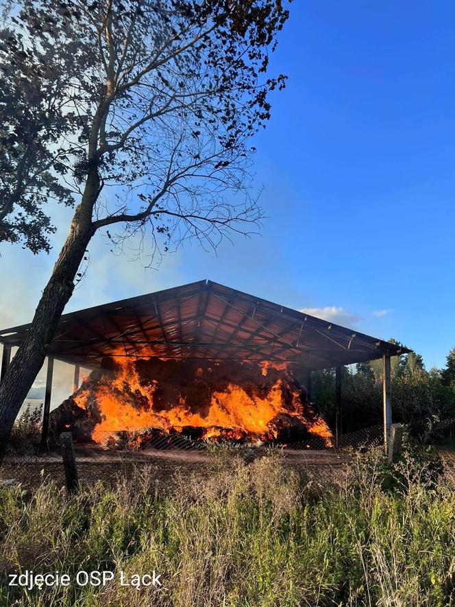 Pożar w Stadzie Ogierów w Łącku pod Płockiem