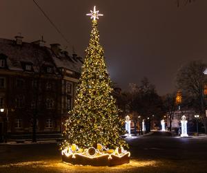 Iluminacja świąteczna 2023 w Warszawie - zdjęcia