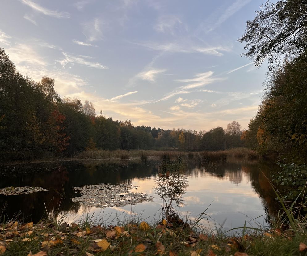 Idealne miejsce na jesienny spacer w Śląskiem - Kamień 