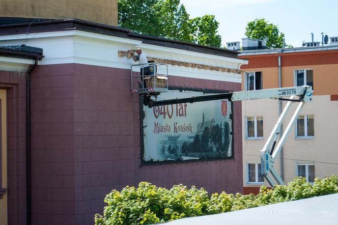 Miasto stawia budki lęgowe dla jerzyków. Ptaki mają pomóc w walce z komarami