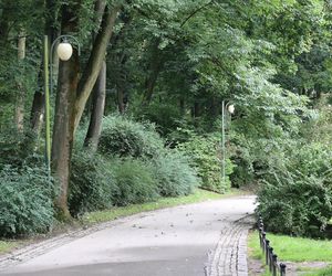 Ogród Saski w Lublinie w wakacyjny poranek 2025