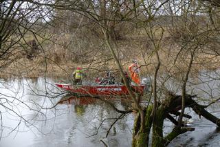 Dorotę pochowają obok ukochanego synka. Próbowała bohatersko ratować Dominika