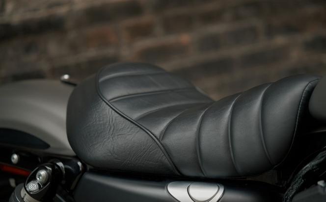 Harley-Davidson Sportster Iron 883