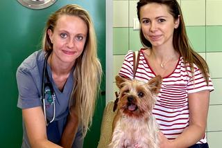 Tofik z chorym serduszkiem