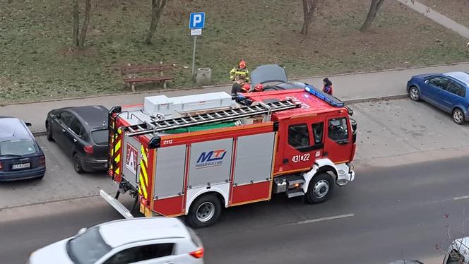 Koszmarny wypadek w Białkowie koło Golubia-Dobrzynia. Przemysław podpalił auto żony, a potem rozbił się na drzewie