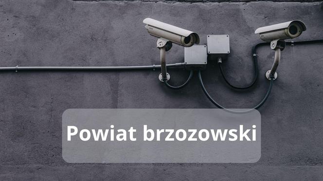 Powiat brzozowski  