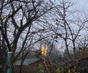 Słup ognia nad Krakowem. Potężny pożar gazu na popularnym osiedlu