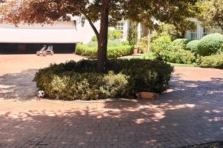 Odkryj moc myjek wysokociśnieniowych: sekret zadbanej przestrzeni wokół domu