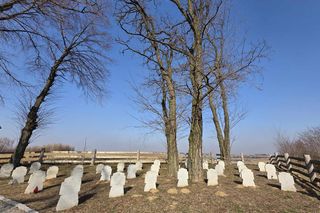 Cmentarz wojenny w Drohojowie.