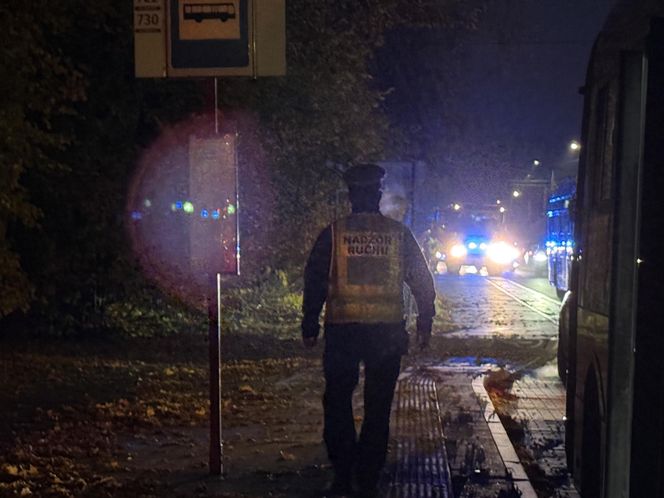 Wiązowna. Zderzenie autobusu z sarną 