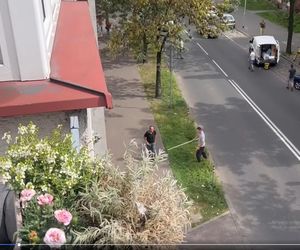 47-latek zadźgał nożem przypadkowego człowieka na ulicy. Horror w Chorzowie