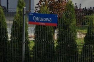 Oto najsmaczniejsze ulice w Warszawie