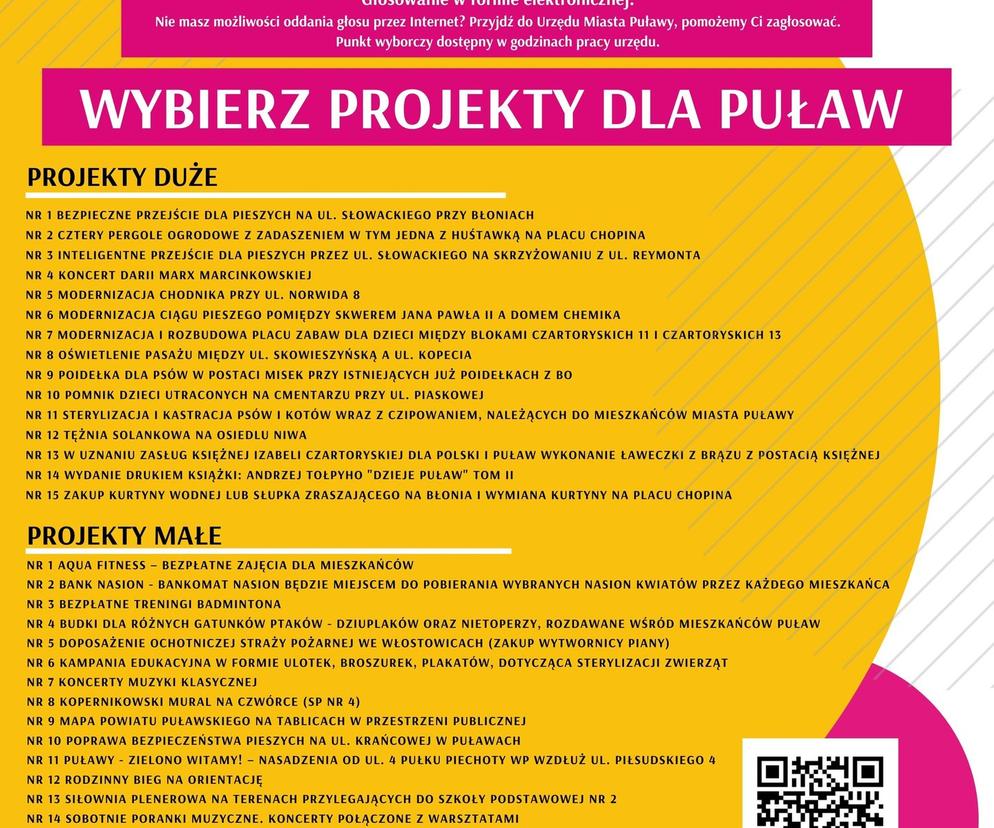 X edycja Budżetu Obywatelskiego w Puławach - plakat 
