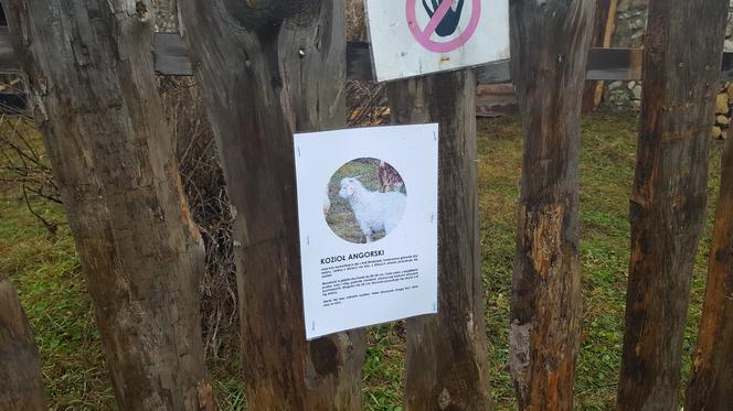 Będzińska Szopka Bożonarodzeniowa