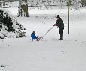 Śnieżny Szczecin 