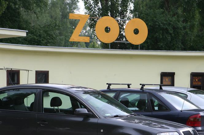 Zoo, ogród zoologiczny