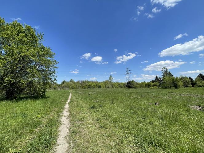 Najdłuższy park w Polsce jest w Krakowie. Ledwo widać go na mapach, a jest pełen atrakcji