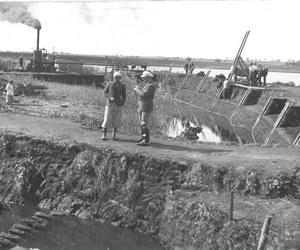 90 lat temu w Biskupinie pod Bydgoszczą ruszyły wykopaliska. Życie w pradawnych czasach przypomni wrześniowy festyn 