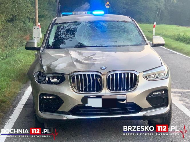 Kierujący bmw dwukrotnie zderzył się z jeleniem