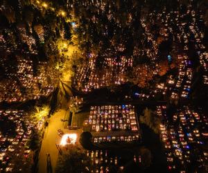 Przepiękne zdjęcia z Cmentarza Łostowickiego w Gdańsku. Tak wyglądał na Wszystkich Świętych