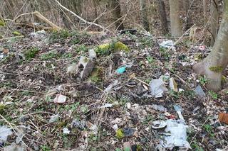 Wysypisko śmieci w Świnoujściu stanie się miejscem spacerów i odpoczynku 