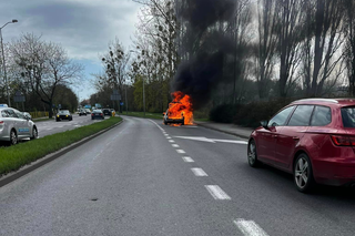 Wielki pożar samochodu przy ul. Obotryckiej. Pojazd spłonął doszczętnie!