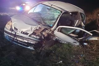 Tak wygląda auto po zderzeniu z łosiem