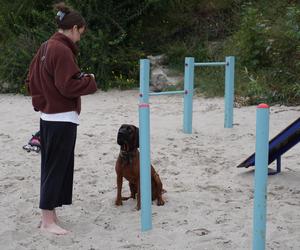 Jedyne takie miejsce na plażowej mapie Gdańska. Właściciele psów powinni o nim wiedzieć!