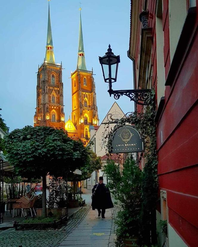 Latarnik na Ostrowie Tumskim we Wrocławiu. To wyjątek na skalę Europy. Kiedy można go spotkać? 