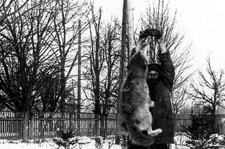 Zoo w Zamościu na starych zdjęciach