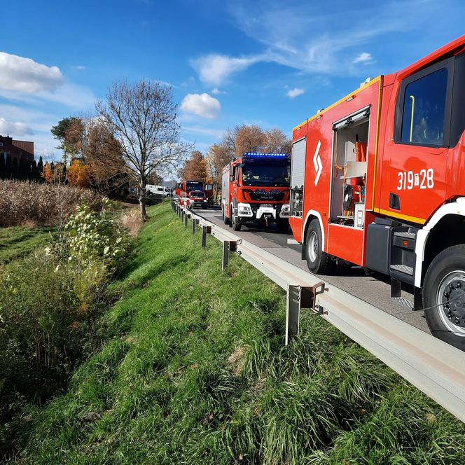 Tragiczny wypadek w miejscowości Wzdół Kolonia. Nie żyją dwie osoby, kolejne dwie są ranne