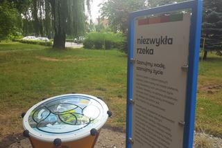 Leszno ma wyspę! W parku przy ul. Berwińskich powstała Wyspa Naukowa