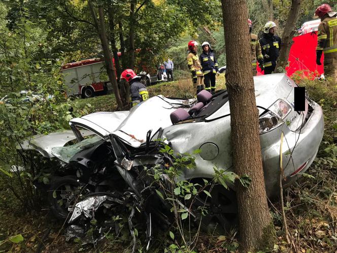Łódzkie. Śmiertelny wypadek na DK74. Kierowca mazdy uderzył w drzewo
