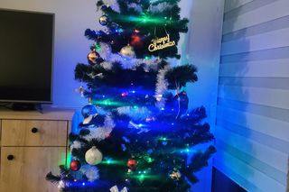 Żywe i sztuczne. Nasi Czytelnicy pochwalili się swoimi choinkami. Zobacz zdjęcia!