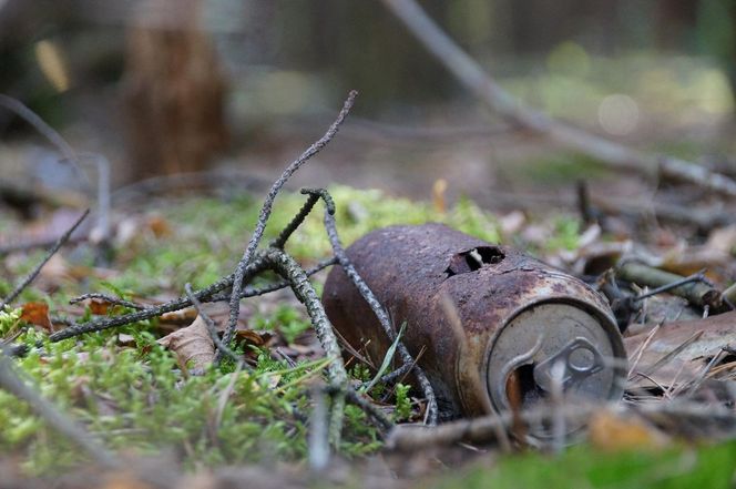 Zgarnij grzyby i ... sprzątaj! Lasy Państwowe w akcji ''Dodaj do kosza i takie okazy!''