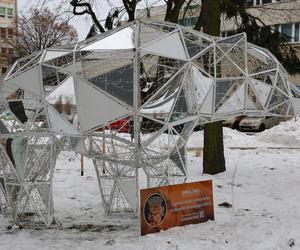 NA UMCS-ie w Lublinie zrobiło się świątecznie! 