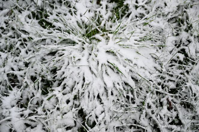 Śnieg w Przemyślu